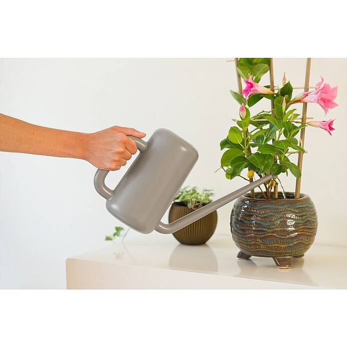 Nature Plantengieter Basic (Taupe, 3,8 l) | BAUHAUS