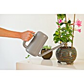 Nature Plantengieter Basic (Taupe, 3,8 l) | BAUHAUS