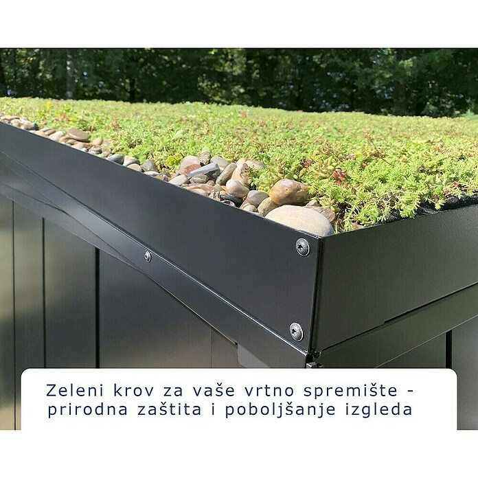 EcoStar Okvir za krov  (Namijenjeno za: EcoStar spremišta Tip 2, Plava) | BAUHAUS