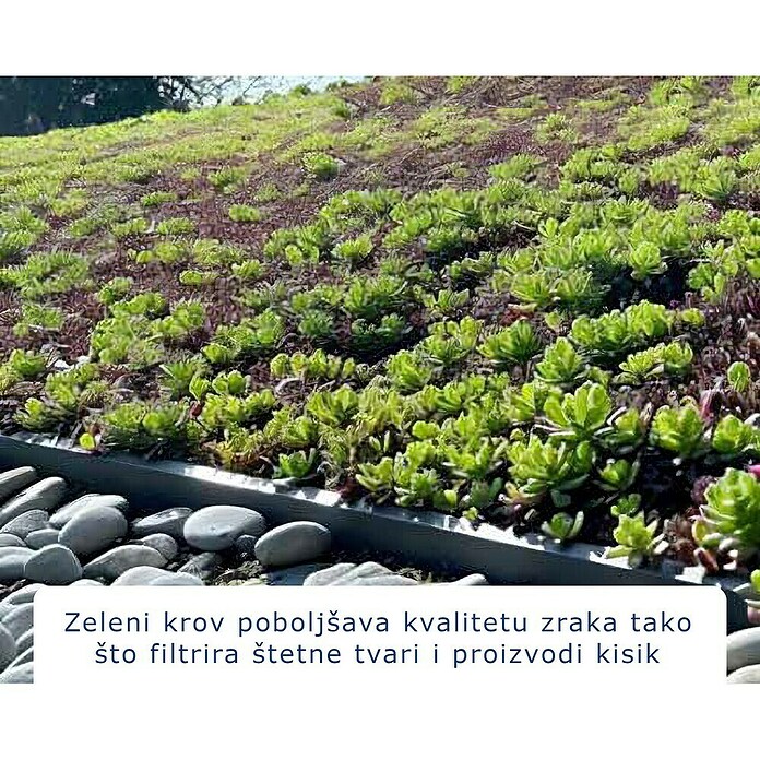 EcoStar Okvir za krov  (Namijenjeno za: EcoStar spremišta Tip 2, Plava) | BAUHAUS