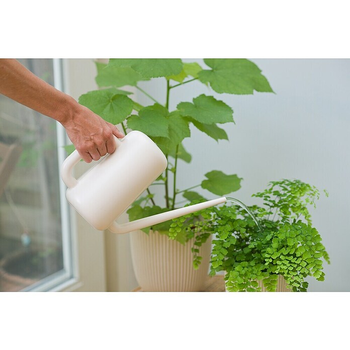 Nature Plantengieter Basic (Ivoor, 1,8 l) | BAUHAUS