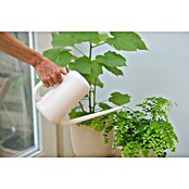 Nature Plantengieter Basic (Ivoor, 1,8 l) | BAUHAUS
