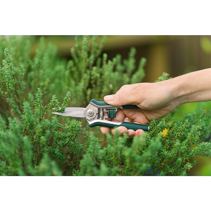 Nature Snoeischaar (l x b x h: 16 x 5 x 1,4 cm) | BAUHAUS