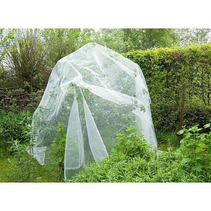 Nature Beschermgaas tegen insecten (Wit, l x b: 5,2 x 5 m) | BAUHAUS