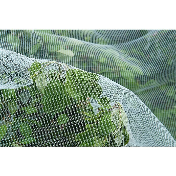 Nature Beschermgaas tegen insecten (Wit, l x b: 5,2 x 5 m) | BAUHAUS