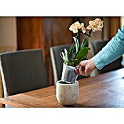 Nature Orchideeënpot (Kunststof, Transparant, Diameter: 13 cm) | BAUHAUS