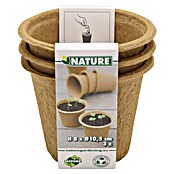Nature Kweekpot (Ø x h: 10,5 x 8 cm, Hout, Bruin) | BAUHAUS