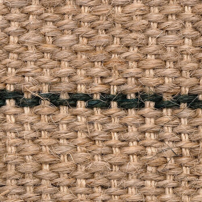 Nature Boomband (b x l: 6 cm x 2 m) | BAUHAUS