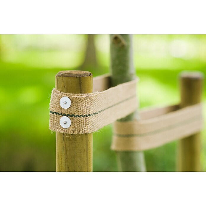 Nature Boomband (b x l: 6 cm x 2 m) | BAUHAUS