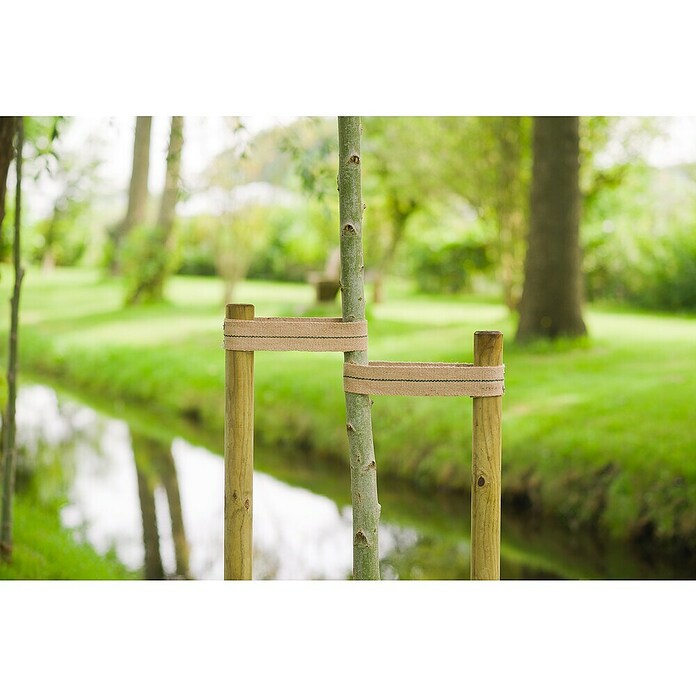 Nature Boomband (b x l: 6 cm x 2 m) | BAUHAUS