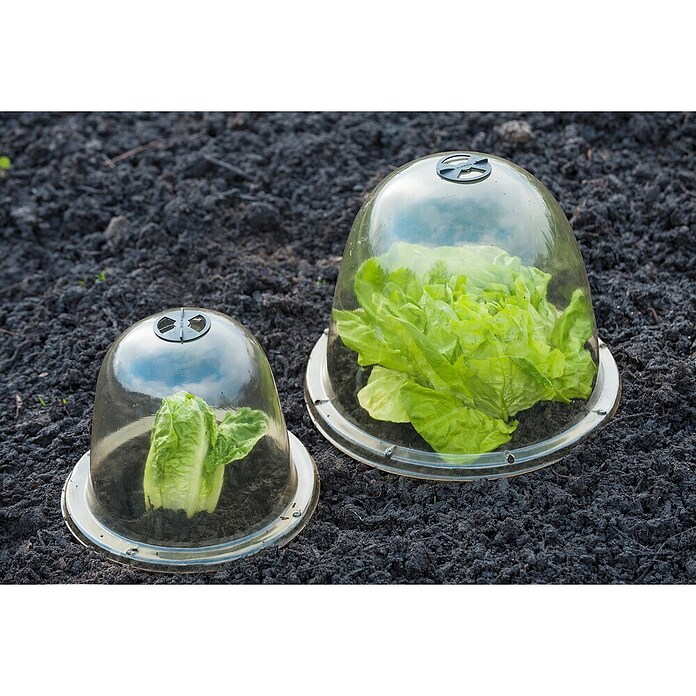 Nature Kweekkap (33,5 x 33,5 x 30,5 cm) | BAUHAUS