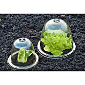 Nature Kweekkap (33,5 x 33,5 x 30,5 cm) | BAUHAUS