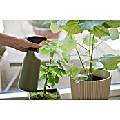 Nature Plantenspuit Basic (Groen) | BAUHAUS