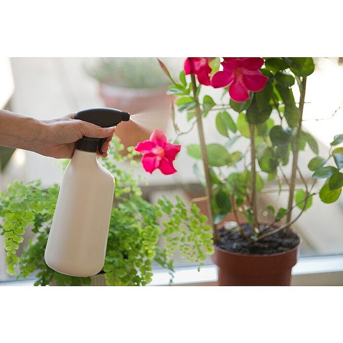 Nature Plantenspuit Basic (Ivoor) | BAUHAUS