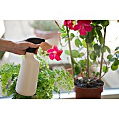 Nature Plantenspuit Basic (Ivoor) | BAUHAUS