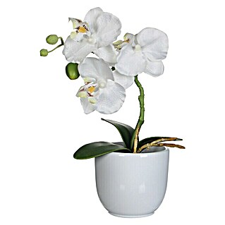 Umjetna biljka Phalaenopsis (Visina: 26 cm, Bijele boje, Plastika)
