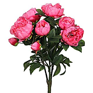 Umjetna biljka Božur (Visina: 55 cm, Roze boje, Plastika)