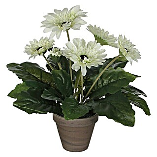 Edelmann Umjetna biljka Gerbera (Visina: 35 cm, Bijele boje, Plastika)