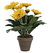 Edelmann Planta artificial Gerbera (Altura: 35 cm, Amarillo, Plástico)