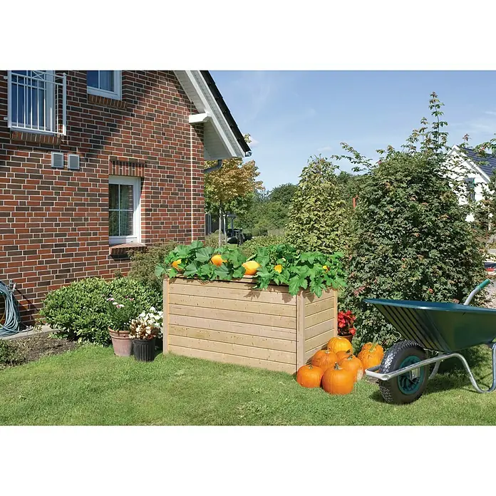 Karibu Hochbeet 2 - 173 x 89 x 82 cm, Holz, Natur - Das Bild zeigt einen erhöhten Pflanzkasten aus Holz mit Kürbissen und einer Schubkarre in einem Garten, neben einem Backsteinhaus.