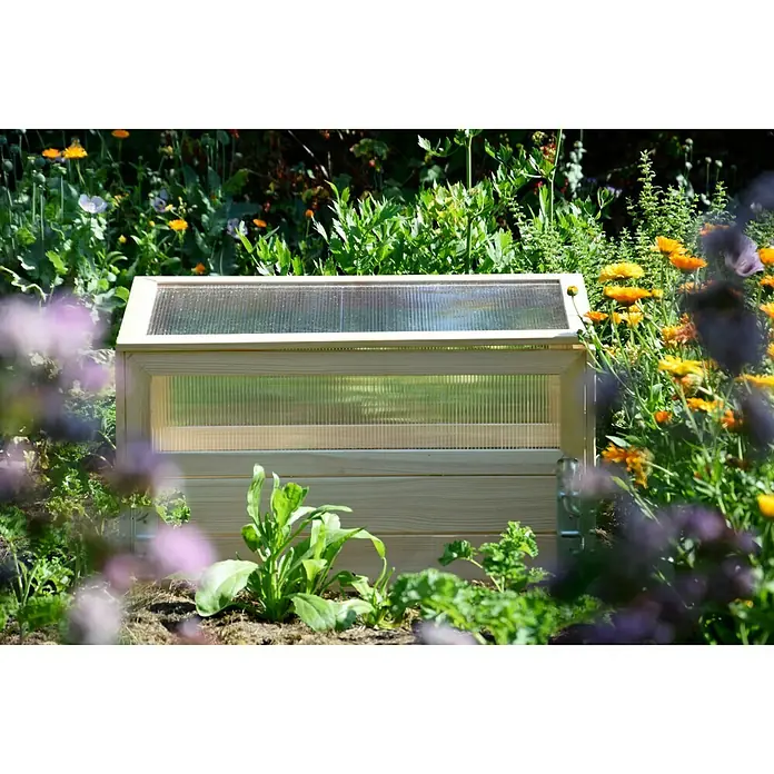 Dobar Hochbeet - 76 x 40 x 50 cm, Holz, Natur - Nahaufnahme eines hölzernen Frühbeets inmitten eines üppigen Gartens mit Blumen. Ideal für den Schutz junger Pflanzen.