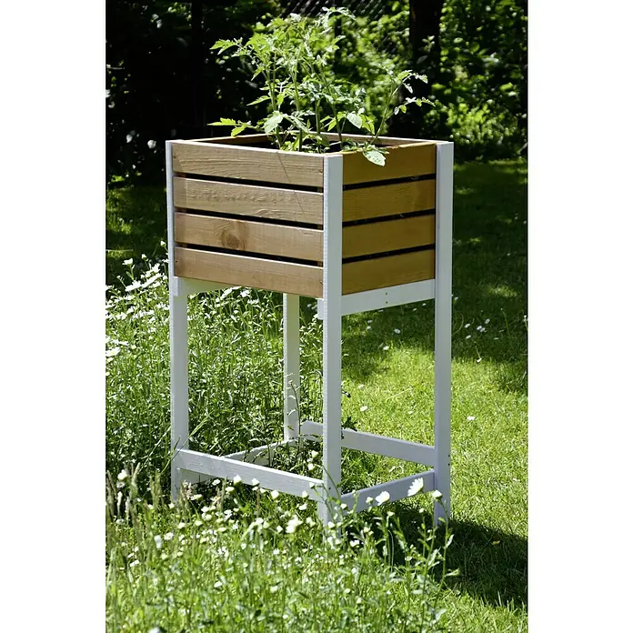 Dobar Hochbeet - 49 x 42 x 90 cm, Holz, Braun - Naheaufnahme eines hölzernen Pflanzgefäßes mit weißen Akzenten, das eine grüne Pflanze enthält, inmitten eines üppigen Gartens.