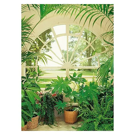 Fotomural Winter garden