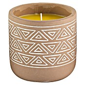 Citronella-Kerze (1 Stk., Ø x H: 10 x 10 cm, Beige-weiß) | BAUHAUS