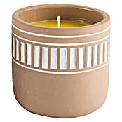 Citronella-Kerze (1 Stk., Ø x H: 10 x 10 cm, Beige-weiß) | BAUHAUS
