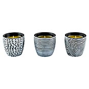 Citronella-Kerze (1 Stk., Ø x H: 7 x 6,6 cm, Grau-weiß) | BAUHAUS