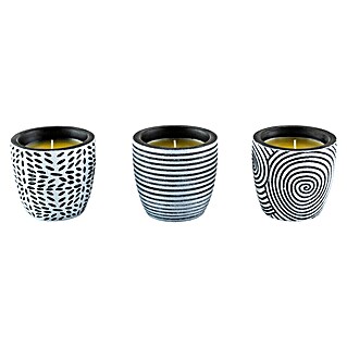 Citronella-Kerze (1 Stk., Ø x H: 7 x 6,6 cm, Grau-weiß)