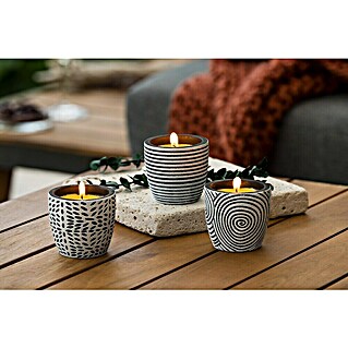 Citronella-Kerze (1 Stk., Ø x H: 7 x 6,6 cm, Grau-weiß)