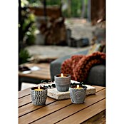 Citronella-Kerze (1 Stk., Ø x H: 7 x 6,6 cm, Grau-weiß) | BAUHAUS