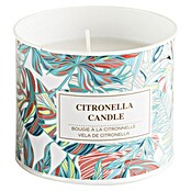 Citronella-Kerze Tessa (1 Stk., Ø x H: 9,5 x 8 cm, Bunt) | BAUHAUS