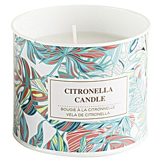 Citronella-Kerze Tessa (1 Stk., Ø x H: 9,5 x 8 cm, Bunt)