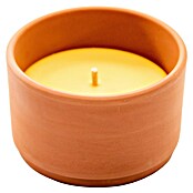 Citronella-Kerze Terra (1 Stk., Ø x H: 9,7 x 6 cm, Terracotta) | BAUHAUS
