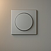 Luceco Oxford Regulador (Plata, Plástico, Atornillado) | BAUHAUS