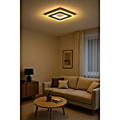 Panaled Katto Plafón LED (50 W, Blanco, Blanco cálido) | BAUHAUS