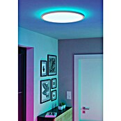 Eglo connect.z LED panel okrugli Rovito-Z  (16,8 W, Ø x V: 50 x 3,2 cm, Bijela, RGBW) | BAUHAUS