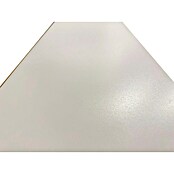 Bariperfil Revestimiento decorativo Blanco (260 x 25 cm, Blanco) | BAUHAUS