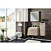 Fackelmann B.clever LED-Spiegelschrank (1-türig, B x H: 60 x 70,6 cm, Holzoptik Alaska Esche) | BAUHAUS
