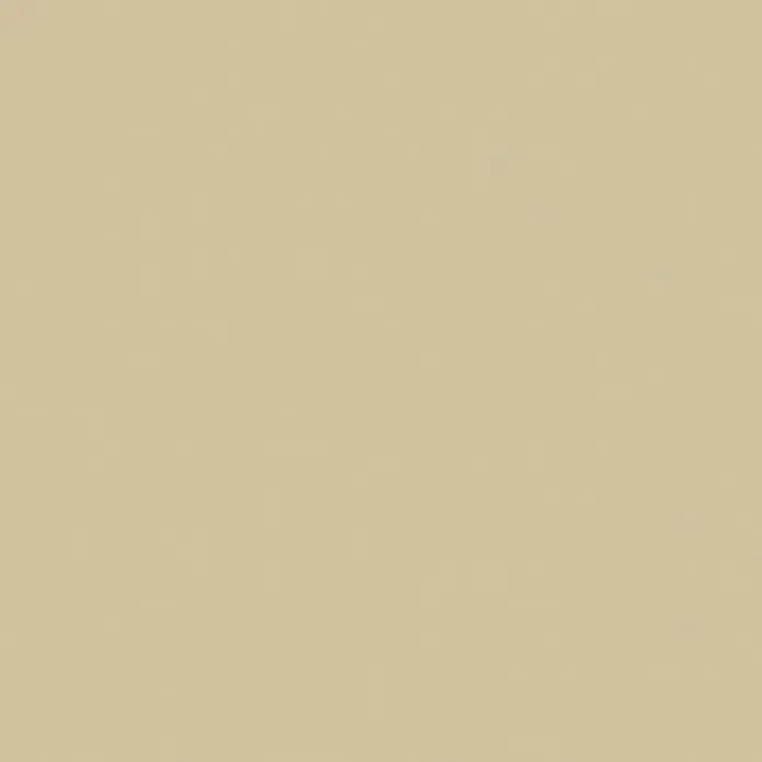 SCHÖNER WOHNEN-Farbe Wandfarbe Designfarbe - Verträumtes Wüstenbeige, Matt, 2,5 l, Konservierungsmittelfrei - Einfarbiger Hintergrund in einem hellen Beigeton, ideal für neutrale Designs und ruhige Layouts.