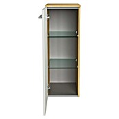Fackelmann B.style Midischrank (1-türig, B x T x H: 30,2 x 32 x 82,6 cm, Anschlag: Links, Weiß Hochglanz/Sandeiche) | BAUHAUS