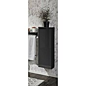 Fackelmann Luna Midischrank (B x T x H: 30,2 x 17 x 82,6 cm, Anthrazit Hochglanz) | BAUHAUS