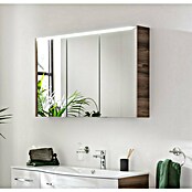 Fackelmann Verona LED-Spiegelschrank (110 x 68,3 cm, Weiß/Braun) | BAUHAUS