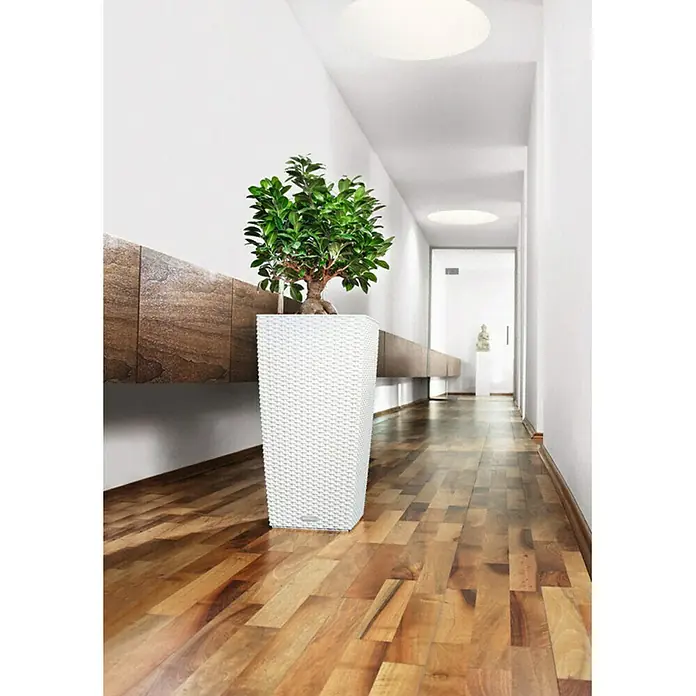 Lechuza Cottage Pflanzsäule eckig Cubico 30 - Außenmaß (L x B x H): 30 x 30 x 56,5 cm, Kunststoff, Weiß - Das Bild zeigt einen stilvollen, weißen Blumentopf mit einer grünen Pflanze in einem modern eingerichteten Flur mit Holzboden.