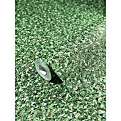 Glööckler Pompöös Provence Vliestapete Basic (Grün, Uni, 10,05 x 0,7 m) | BAUHAUS