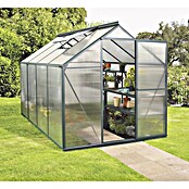Vitavia Gewächshaus (3,04 x 1,98 x 1,96, Glasstärke: 4 mm, Smaragd)