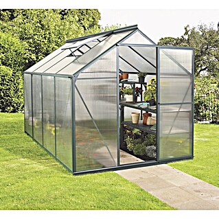 Vitavia Gewächshaus Eos 6000 (Außenmaß inkl. Dachüberstand (B x T): 197,7 x 304 cm, 6 mm, Smaragd)