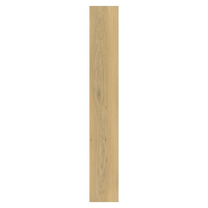 Laminado Gualdal (1.200 x 191 x 8 mm, Marrón, AC5, Resistente al agua) | BAUHAUS